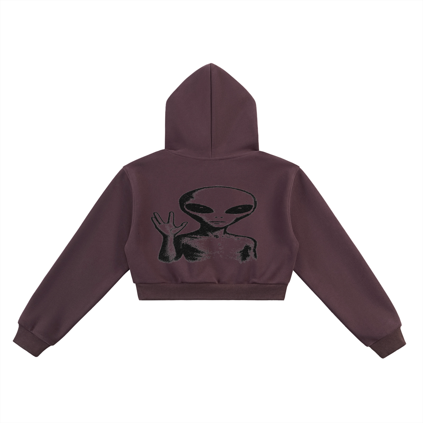 Slime Star Cropped Hoodie